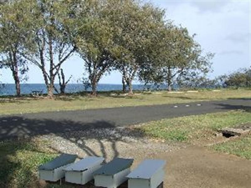 34 The Esplanade, Elliott Heads QLD 4670
