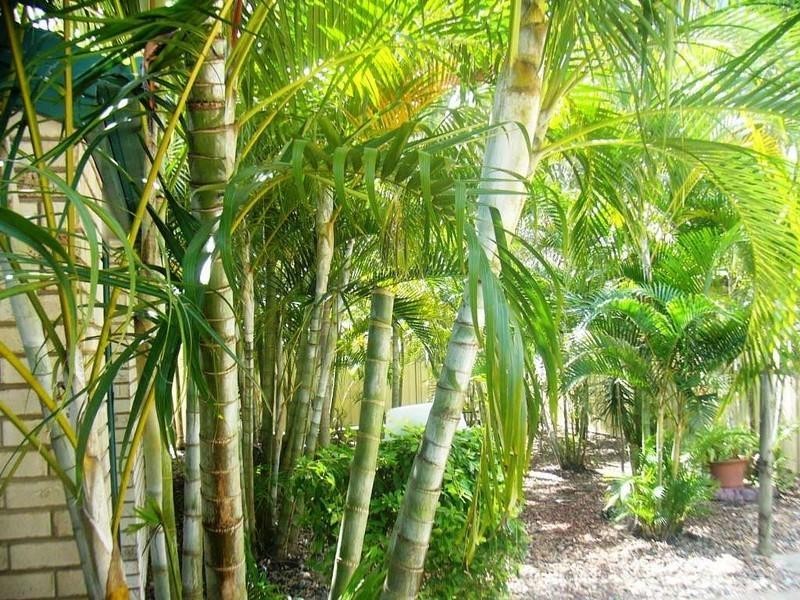 2 Orchid Drive, Moore Park Beach QLD 4670