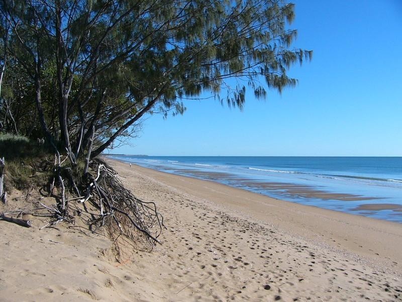 1 Club Avenue, Moore Park Beach QLD 4670