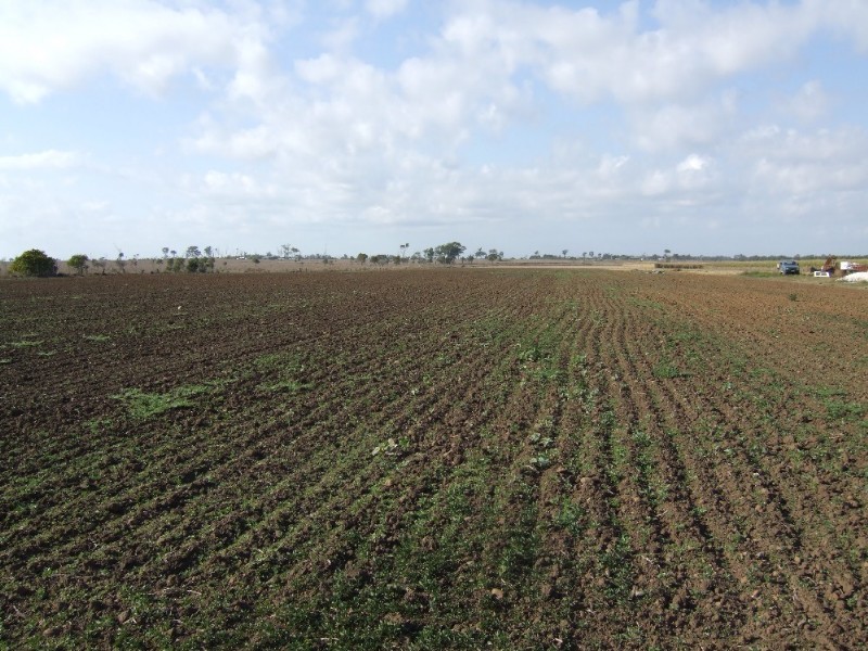 Bundaberg QLD 4670