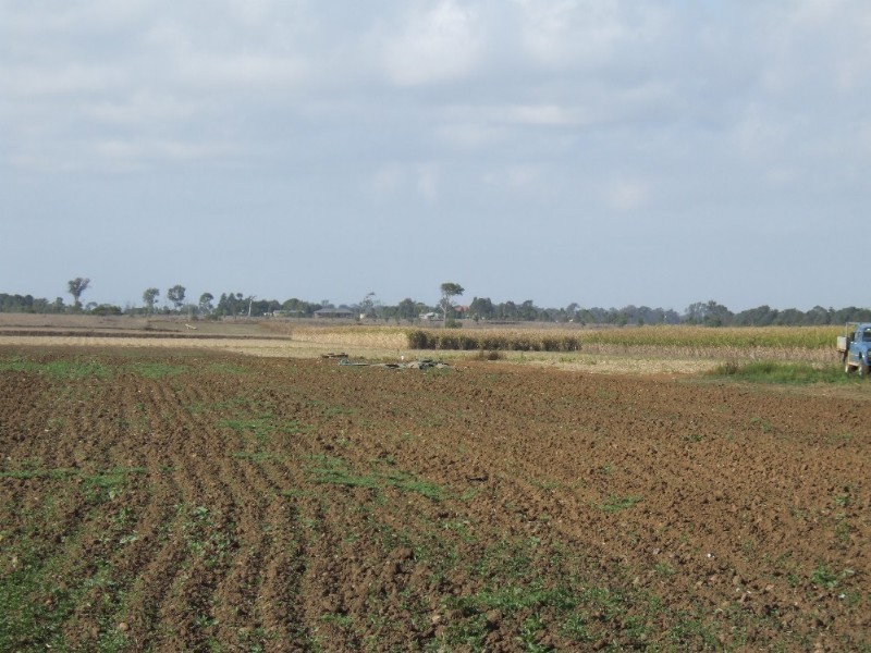 Bundaberg QLD 4670