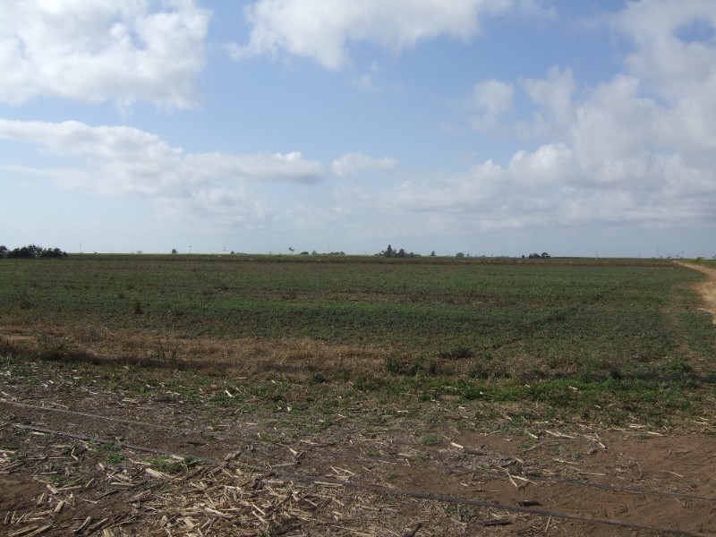 Bundaberg QLD 4670
