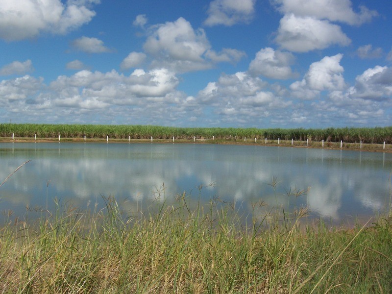 Bundaberg QLD 4670
