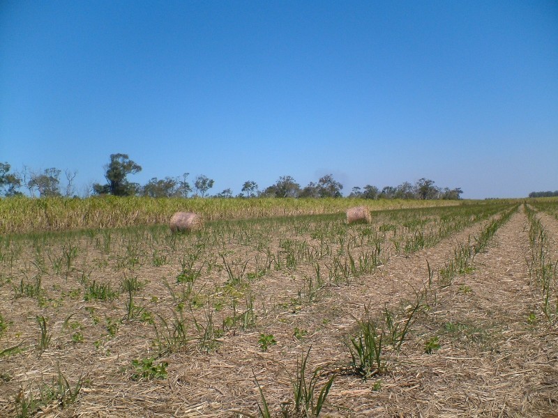 Bundaberg QLD 4670