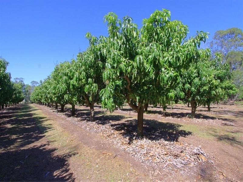 858 Gooburrum Road, Welcome Creek QLD 4670