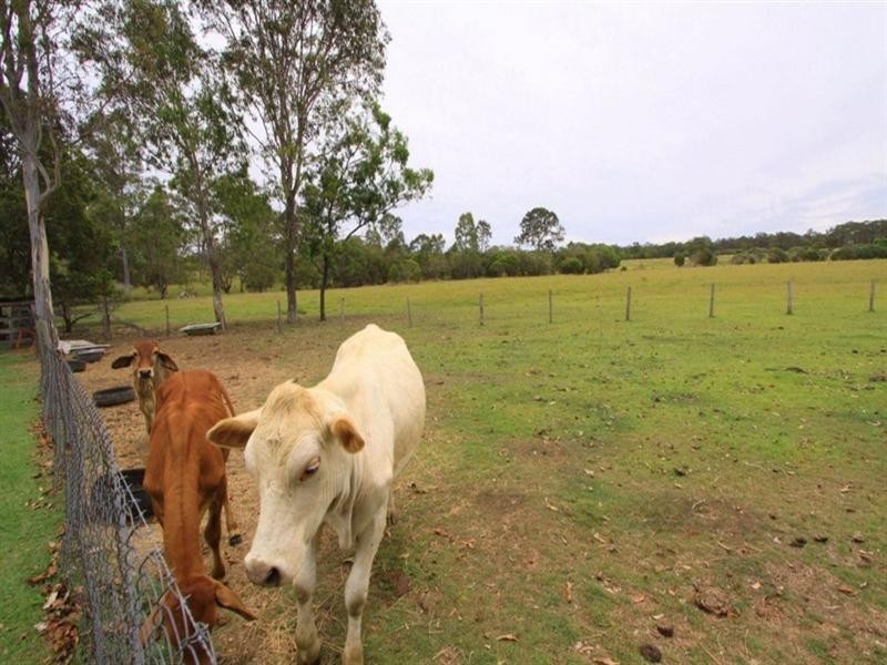 112 Maiseys Road, Yandaran QLD 4673