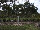 Bundaberg QLD 4670