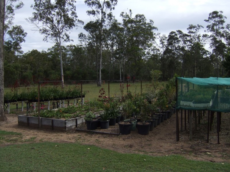 Bundaberg QLD 4670
