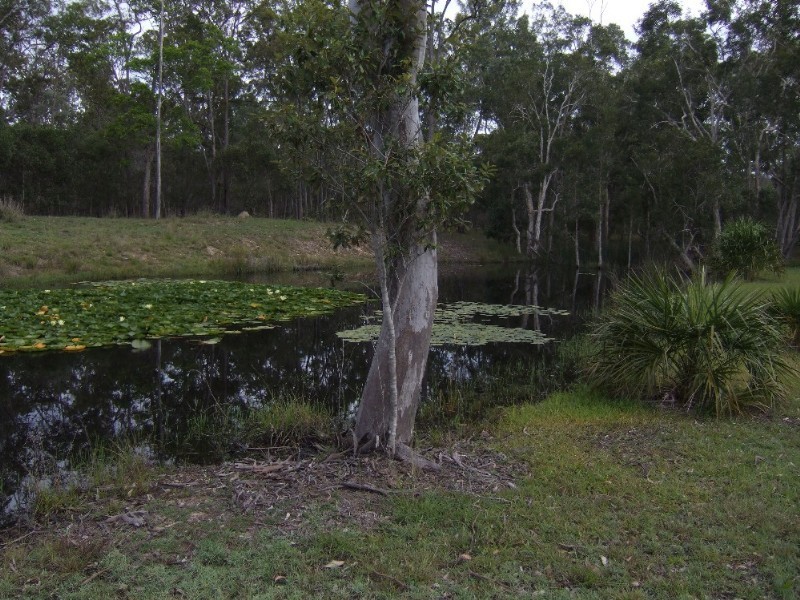 Bundaberg QLD 4670