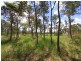 Lot 1 Bonna Road, Branyan QLD 4670
