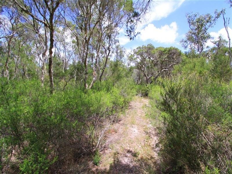 Lot 1 Bonna Road, Branyan QLD 4670