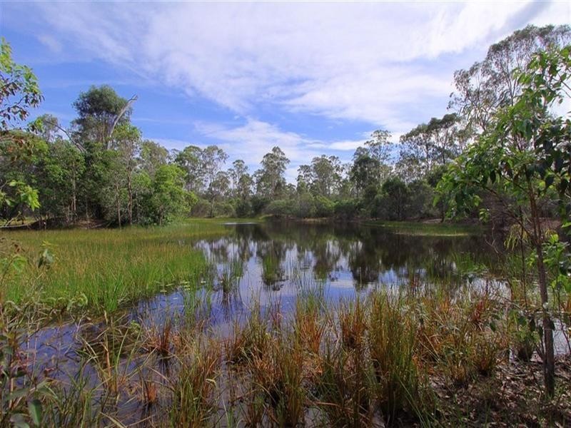 573 Bucca Road, Bucca QLD 4670