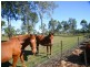 116 Kirbys Road, Bundaberg East QLD 4670