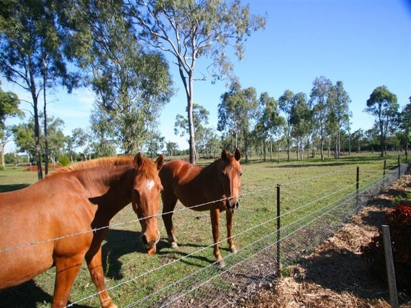116 Kirbys Road, Bundaberg East QLD 4670