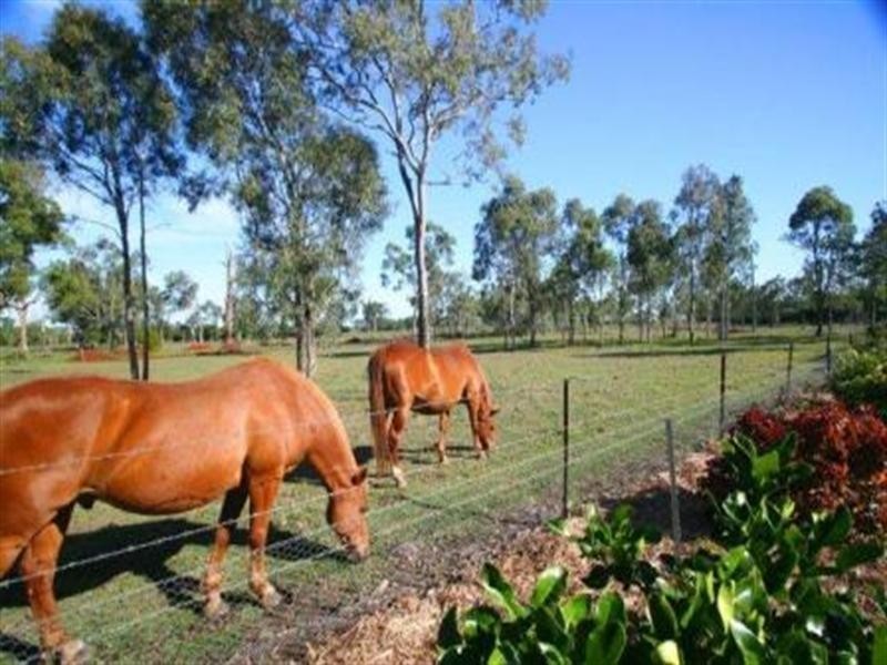 116 Kirbys Road, Rubyanna QLD 4670