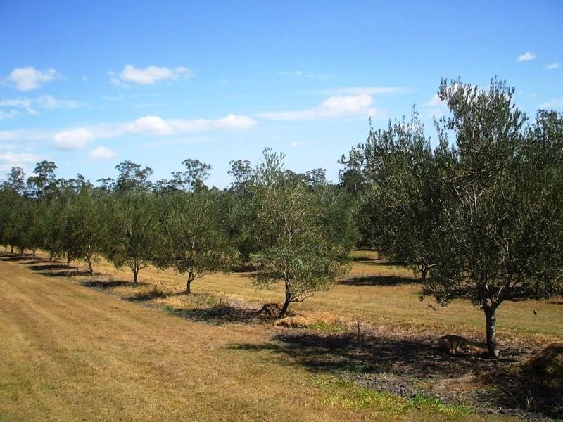 57 Bluegum Road, South Kolan QLD 4670