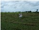 Lot 4 Judy Place, Moore Park Beach QLD 4670
