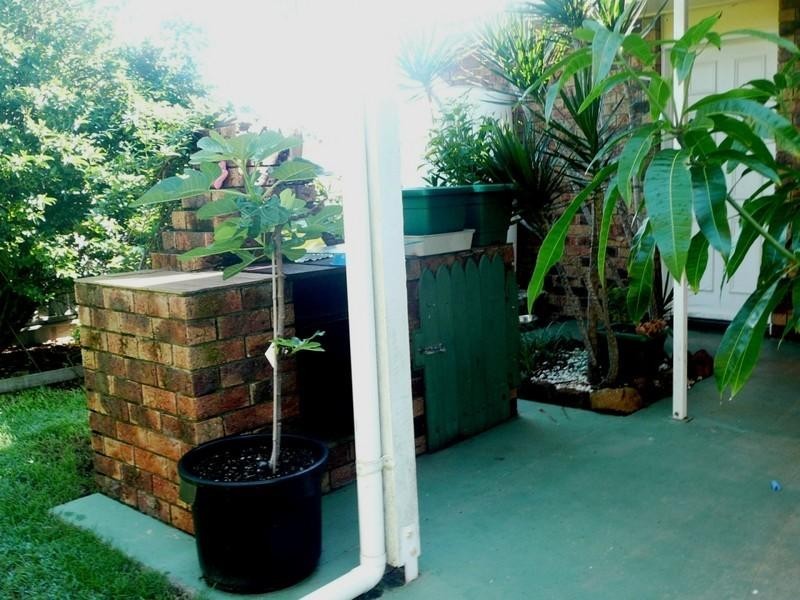 15 Foreshore Parade, Bargara QLD 4670