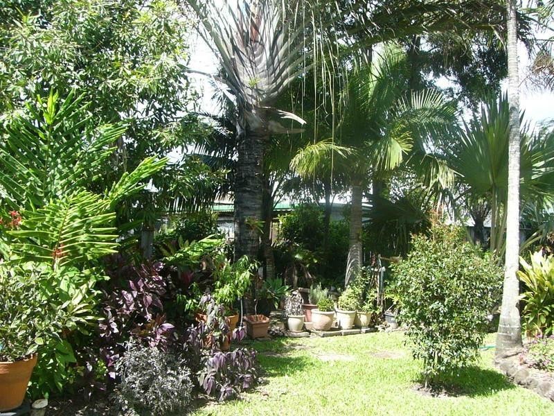 3 Avenue Street, Bundaberg East QLD 4670