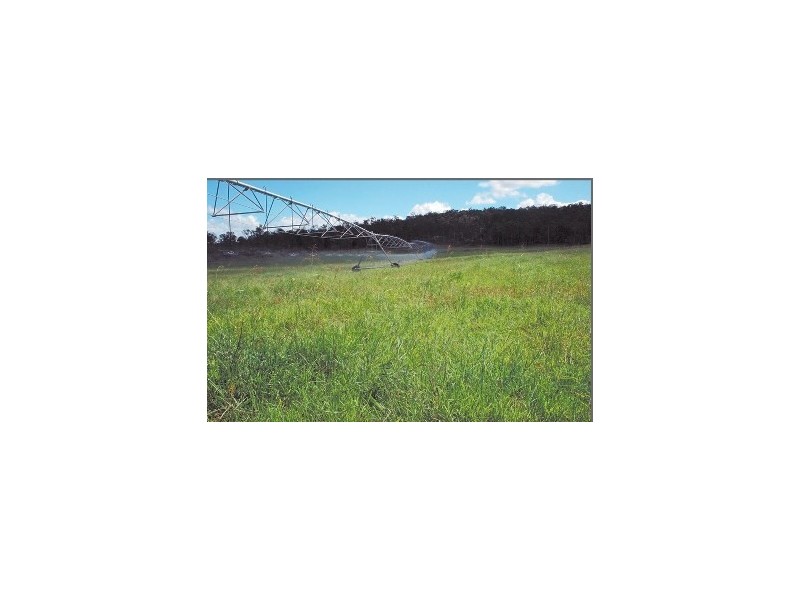 491 Delan Road, Delan QLD 4671