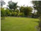 1733 Bucca Road, Bucca QLD 4670