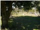 1733 Bucca Road, Bucca QLD 4670