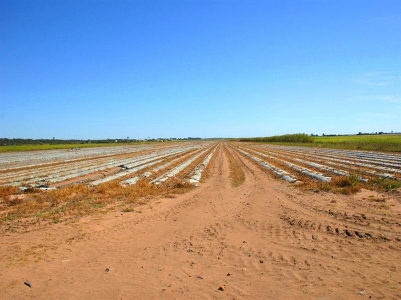 352 Moore Park Road, Moore Park Beach QLD 4670