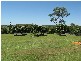 Bundaberg QLD 4670