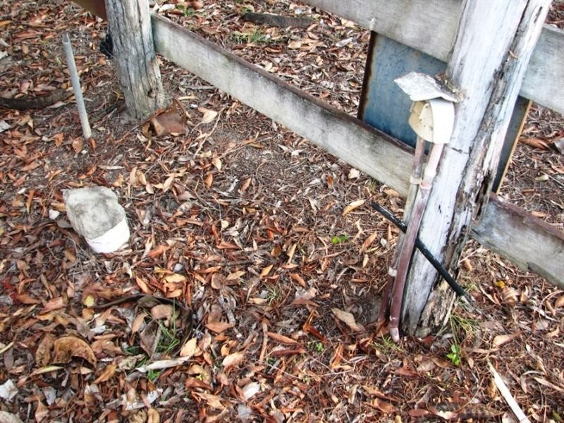 161 Cobbs Road, Bucca QLD 4670