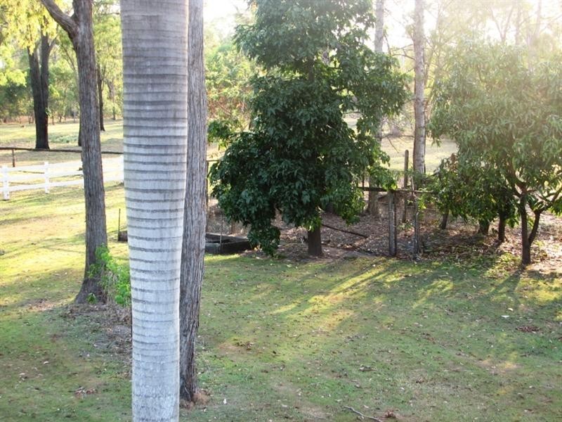 161 Cobbs Road, Bucca QLD 4670