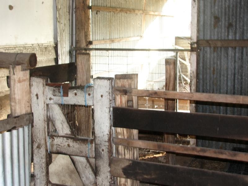 161 Cobbs Road, Bucca QLD 4670