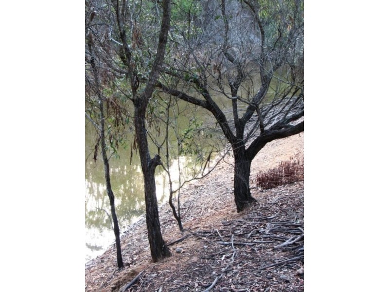 161 Cobbs Road, Bucca QLD 4670