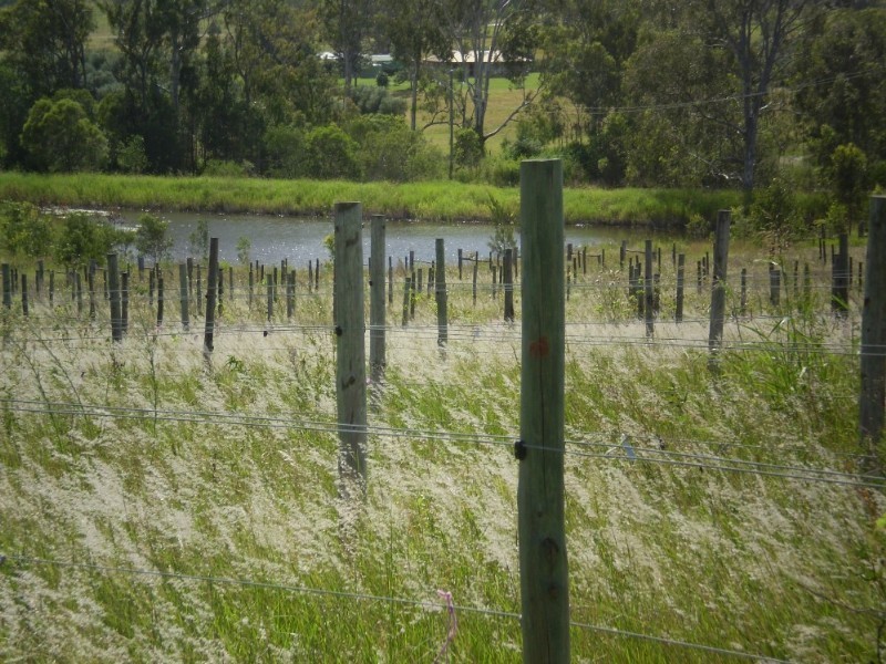 Gin Gin QLD 4671
