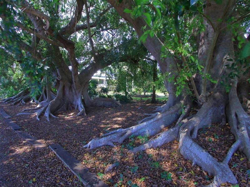 173 Bargara Road, Bundaberg East QLD 4670