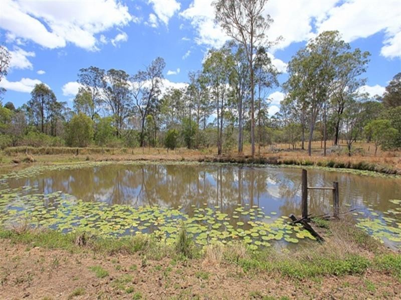 701 Birthamba Road, South Kolan QLD 4670