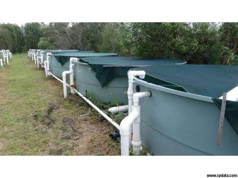 93 Lakeview Drive, Alloway QLD 4670