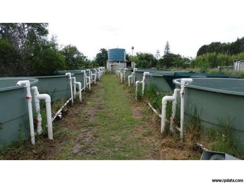 93 Lakeview Drive, Alloway QLD 4670