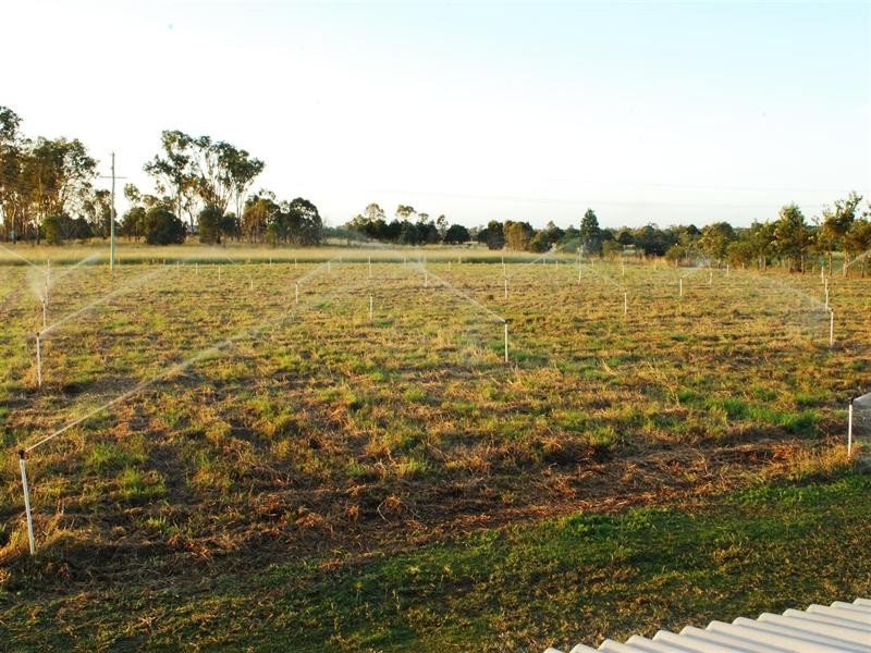 South Kolan QLD 4670