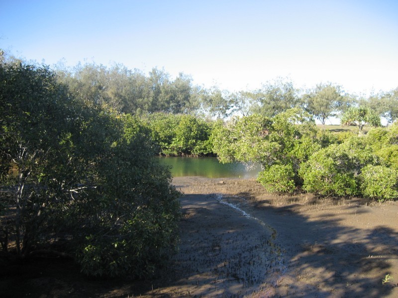 Innes Park QLD 4670