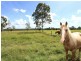 104 Mill Road, Avondale QLD 4670