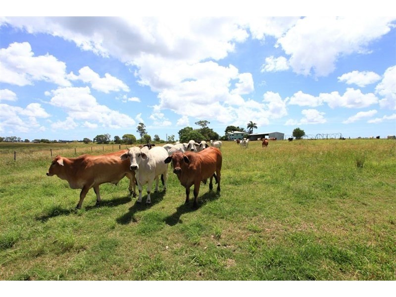 230 Sharon Road, Sharon QLD 4670