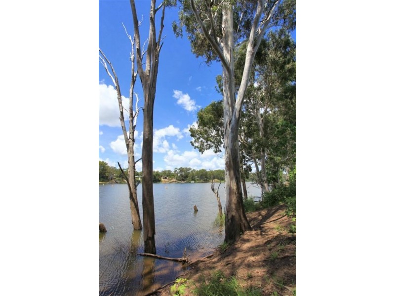 230 Sharon Road, Sharon QLD 4670