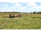 230 Sharon Road, Sharon QLD 4670