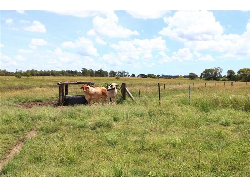 230 Sharon Road, Sharon QLD 4670