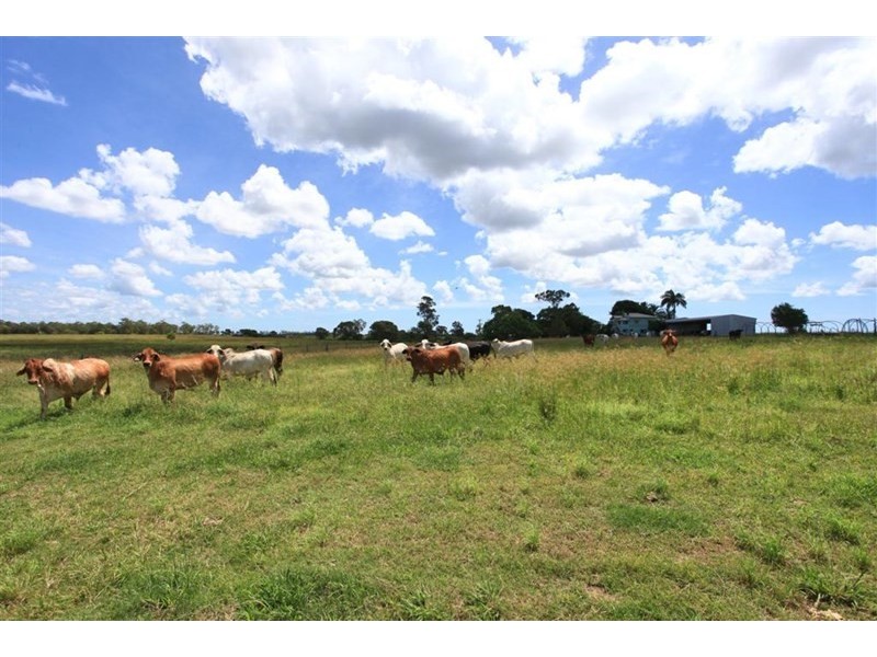 230 Sharon Road, Sharon QLD 4670