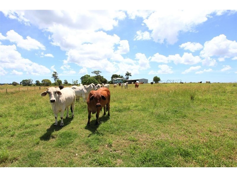 230 Sharon Road, Sharon QLD 4670