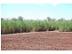 Bundaberg QLD 4670