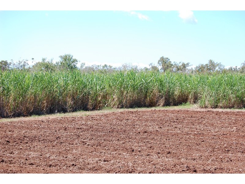 Bundaberg QLD 4670