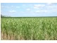 Bundaberg QLD 4670