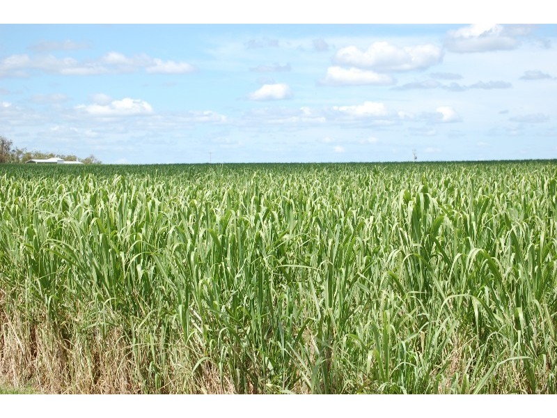 Bundaberg QLD 4670
